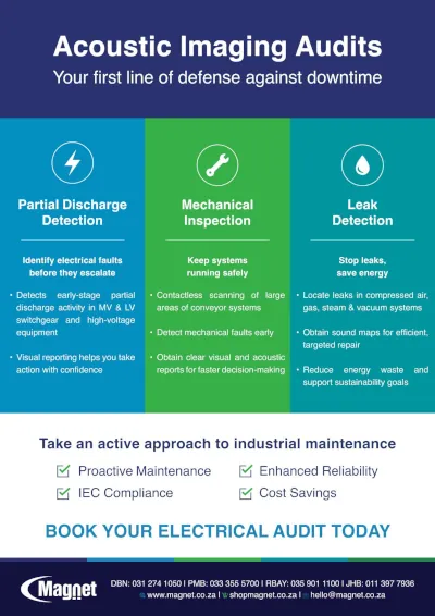 Acoustic Imaging Audits