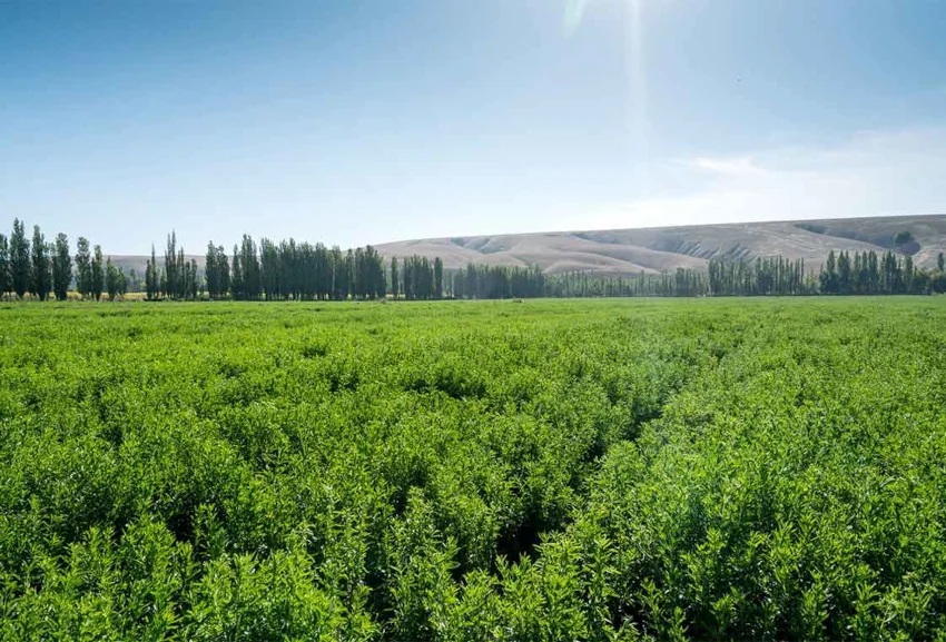 Sustainability